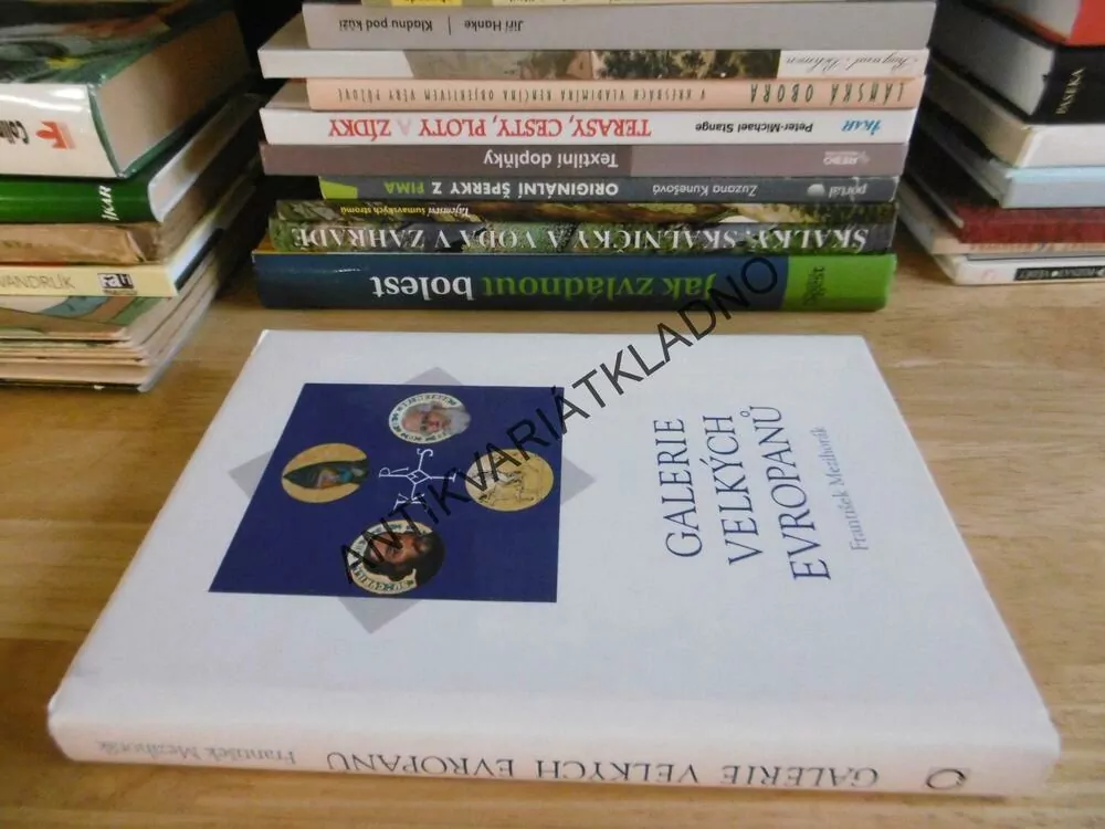 GALERIE VELKÝCH EVROPANŮ, FRANTIŠEK MEZIHORÁK, **an