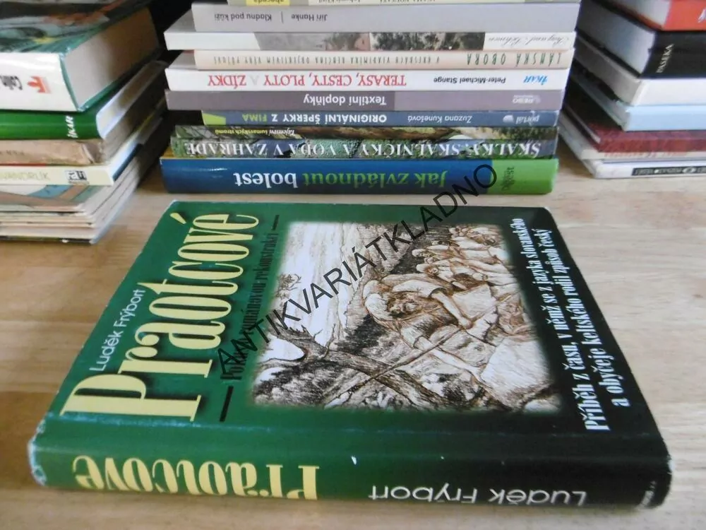 PRAOTCOVÉ, POKUS O ROMÁNOVOU REKONSTRUKCI, LUDĚK FRÝBORT, **an