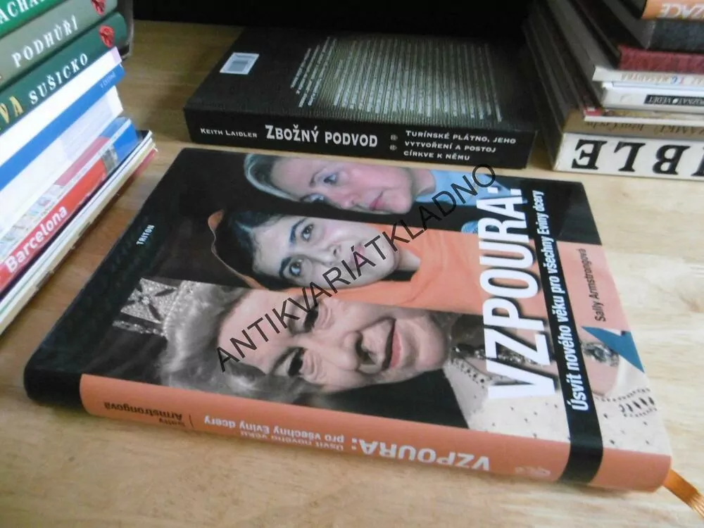 VZPOURA: ÚSVIT NOVÉHO VĚKU PRO VŠECHNY EVINY DCERY, SALLY ARMSTRONGOVÁ, **an