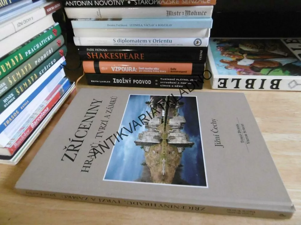 ZŘÍCENINY HRADŮ, TVRZÍ A ZÁMKŮ, JIŽNÍ ČECHY, TOMÁŠ DURDÍK, **an
