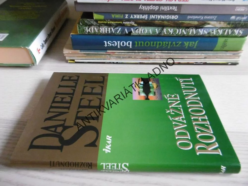 ODVÁŽNÉ ROZHODNUTÍ, DANIELLE STEEL, **an
