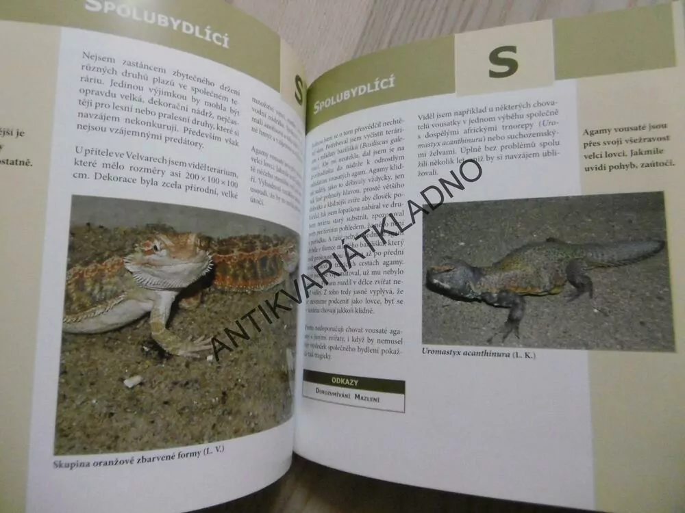 AGAMA VOUSATÁ, LUBOMÍR KLÁTIL, **an
