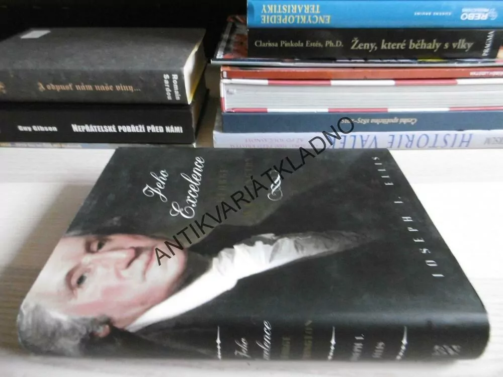 JEHO EXCELENCE GEORGE WASHINGTON, JOSEPH J. ELLIS, **an