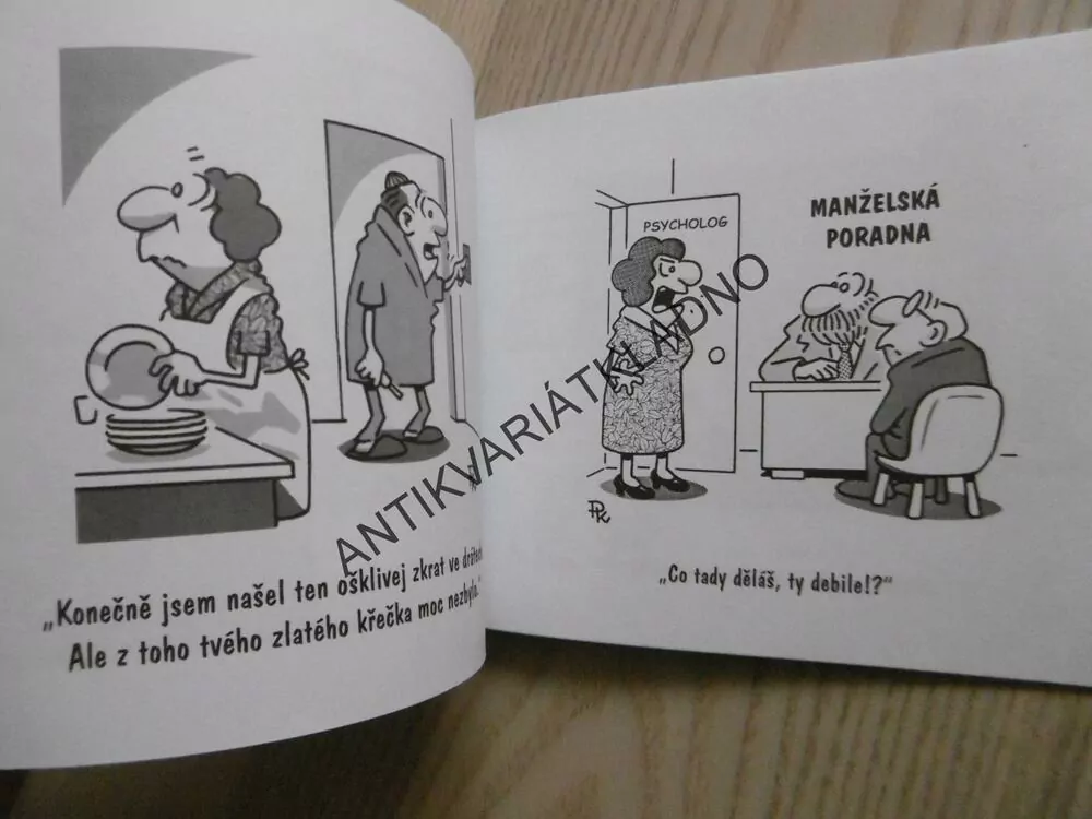 JAK PŘEŽÍT MANŽELSTVÍ, PAVEL KANTOREK