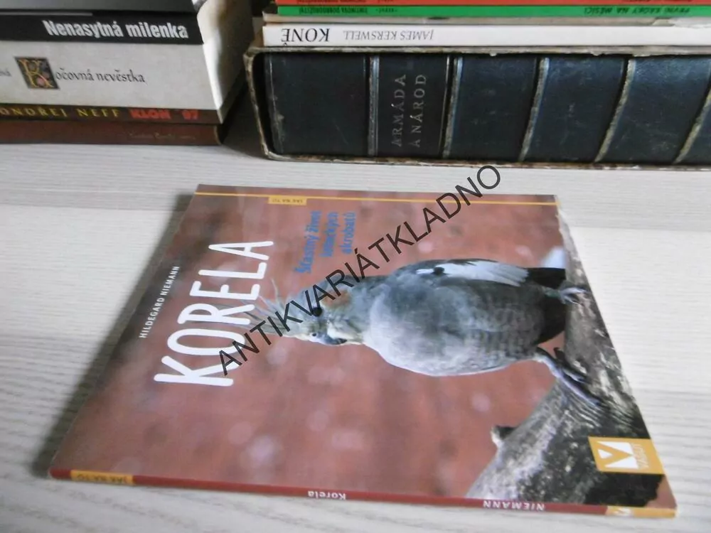 KORELA, ŠŤASTNÝ ŽIVOT LETECKÝCH AKROBATŮ, HILDEGARD NIEMANN, **an