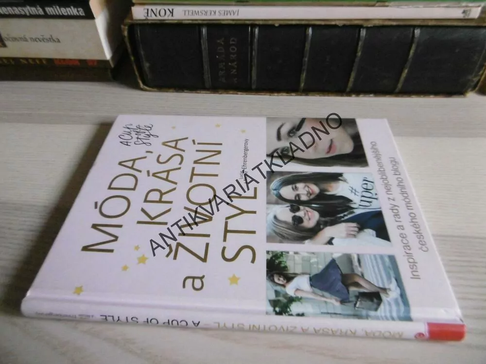 MÓDA, KRÁSA A ŽIVOTNÍ STYL, A CUP OF STYLE, LUCIE A NICOL EHRENBERGEROVY, **an