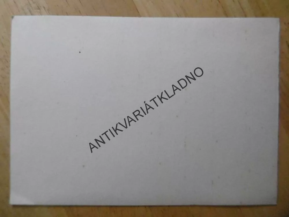 MUŽ, HARMONIKA, AKORDEON, PORTRÉT