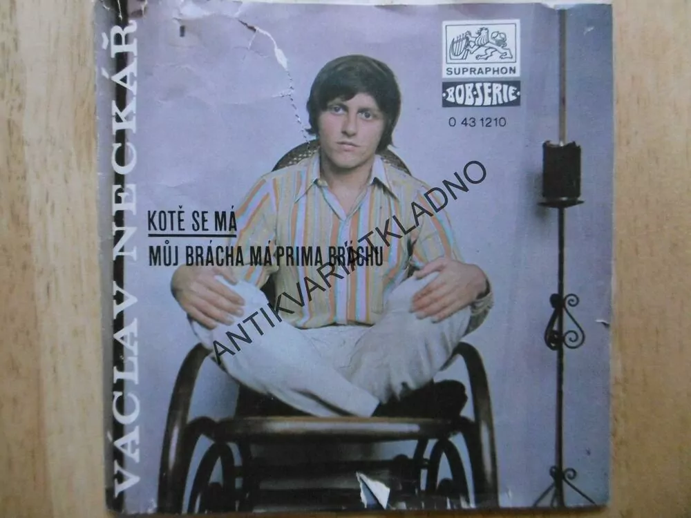 GRAMODESKA - VÁCLAV NECKÁŘ, MALÁ DESKA