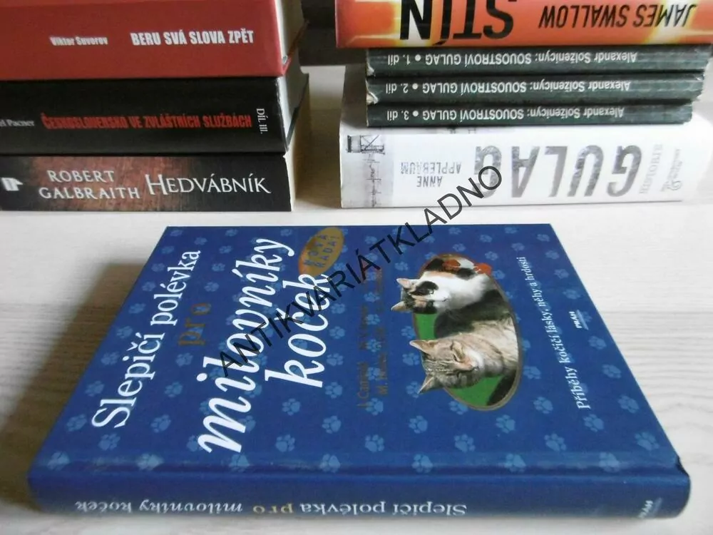 SLEPIČÍ POLÉVKA PRO MILOVNÍKY KOČEK, J. CANFIELD A KOLEKTIV, **an