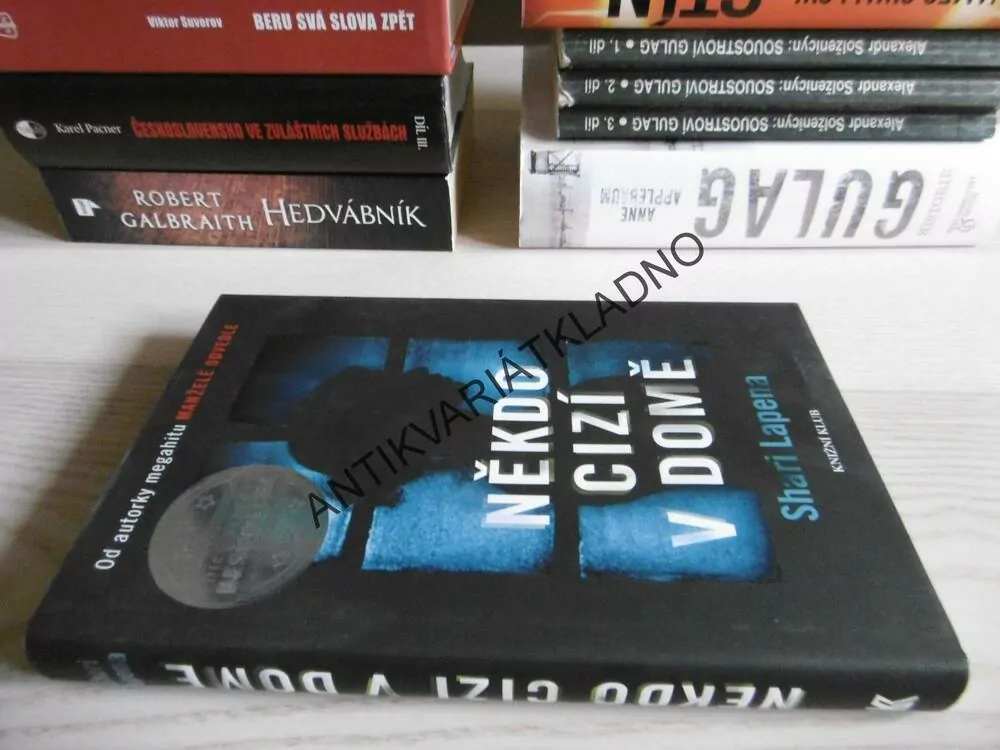 NĚKDO CIZÍ V DOMĚ, SHARI LAPENA, **an