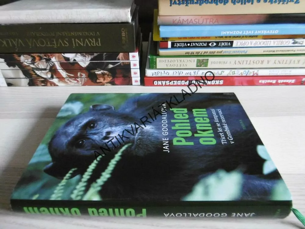 POHLED OKNEM, JANE GOODALLOVÁ