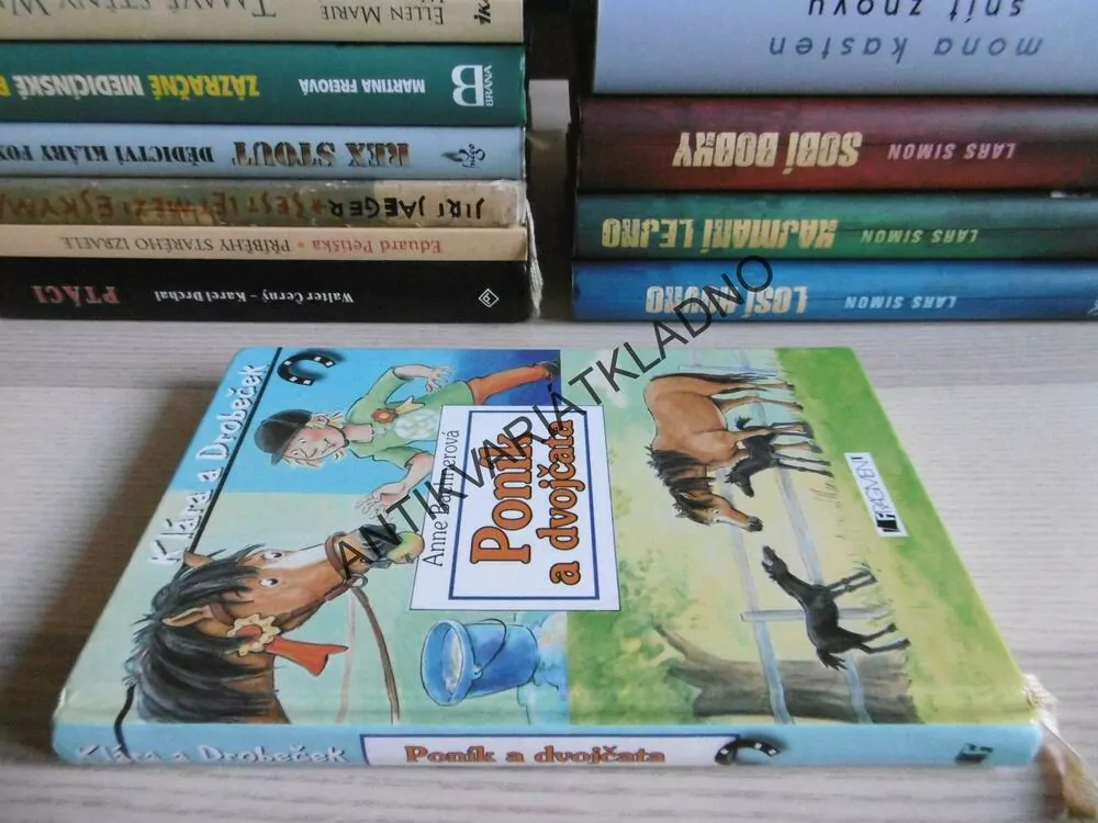 PONÍK A DVOJČATA, KLÁRA A DROBEČEK, ANNE BACHNEROVÁ, **an