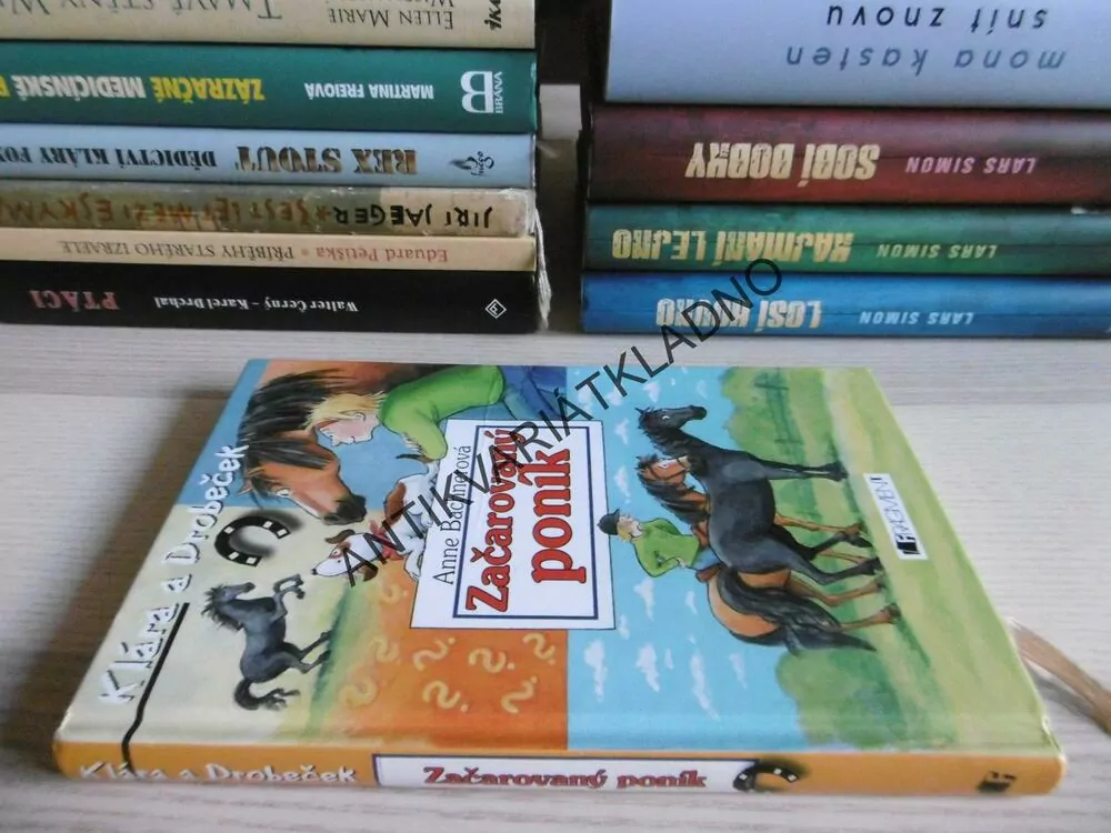 ZAČAROVANÝ PONÍK, KLÁRA A DROBEČEK, ANNE BACHNEROVÁ, **an