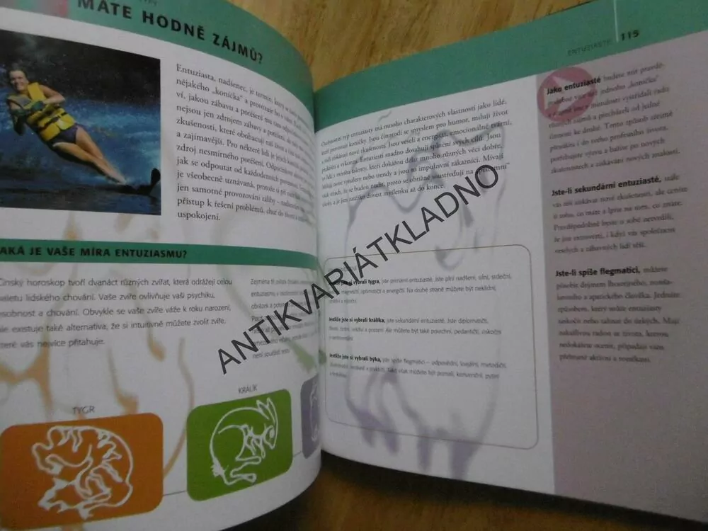 ZNÁŠ SVOU OSOBNOST, OSVĚDČENÉ ZPŮSOBY, CLAIRE GORDONOVÁ,