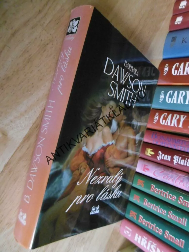 NEZRALÝ PRO LÁSKU, BARBARA DAWSON SMITH, **an