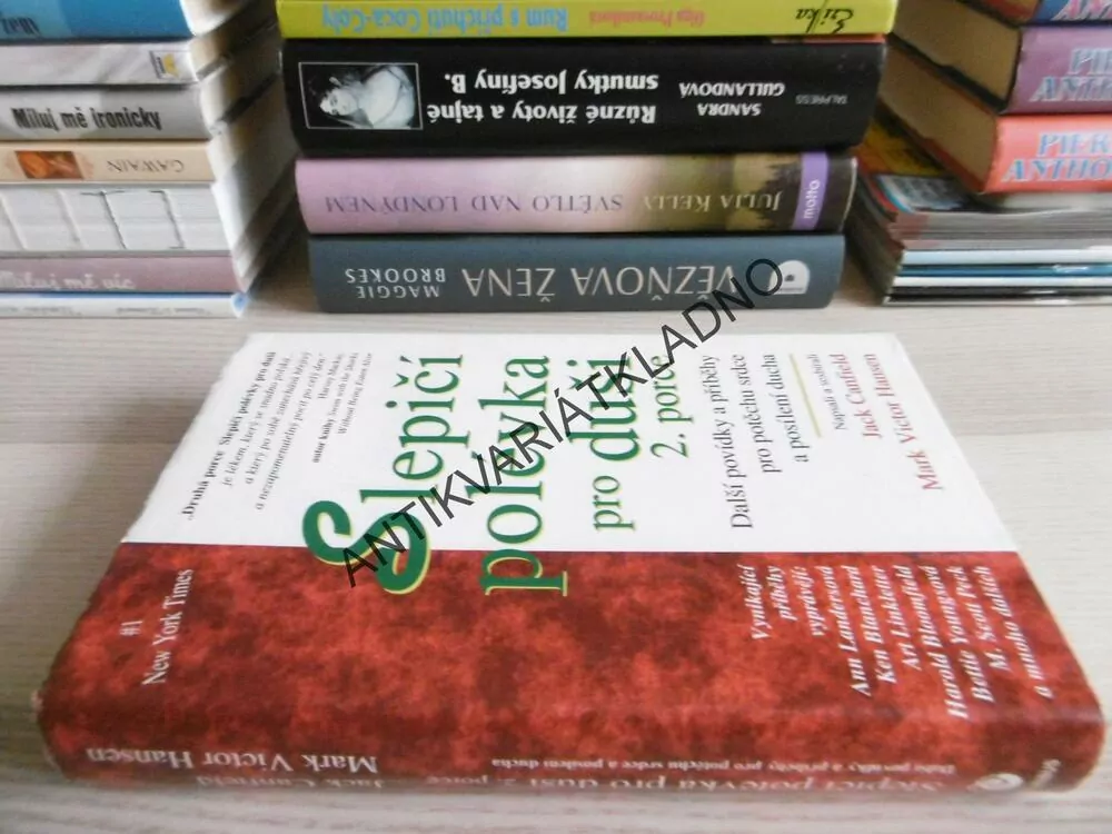 SLEPIČÍ POLÉVKA PRO DUŠI 2.PORCE, CANFIELD, **an