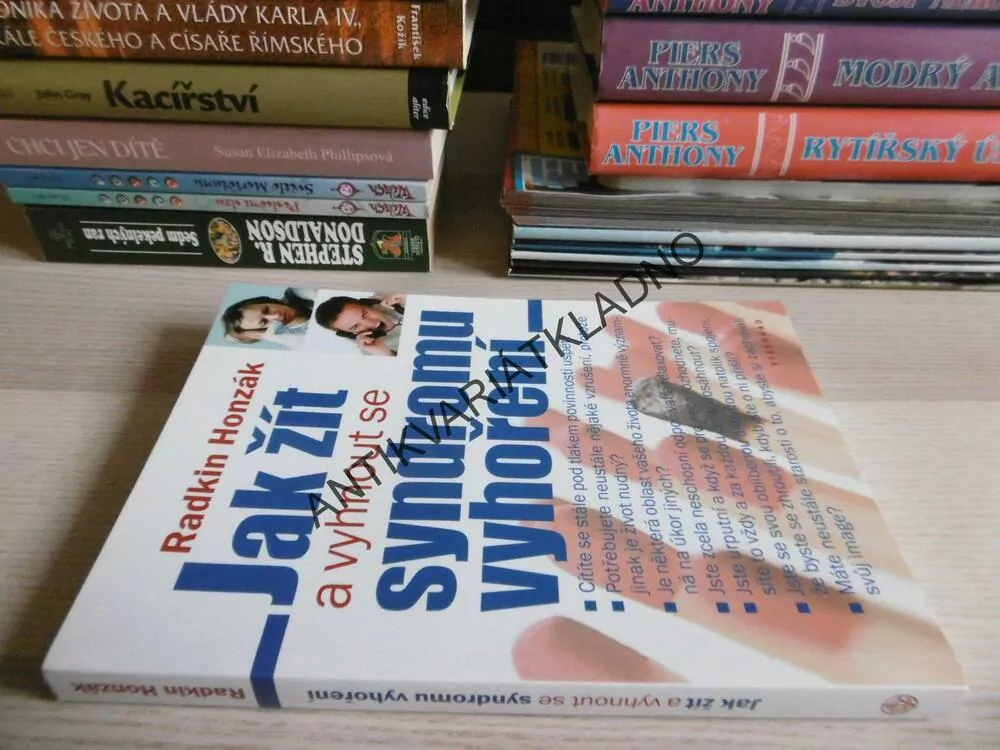 JAK ŽÍT A VYHNOUT SE SYNDROMU VYHOŘENÍ, RADKIN HONZÁK, **an