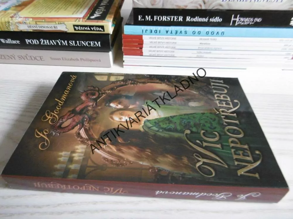 VÍC NEPOTŘEBUJI, JO GOODMANOVÁ, **an