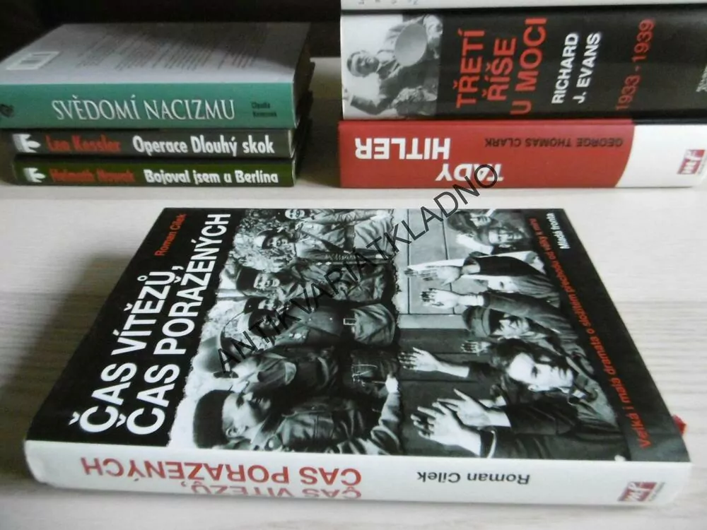 ČAS VÍTĚZŮ, ČAS PORAŽENÝCH, ROMAN CÍLEK, **an