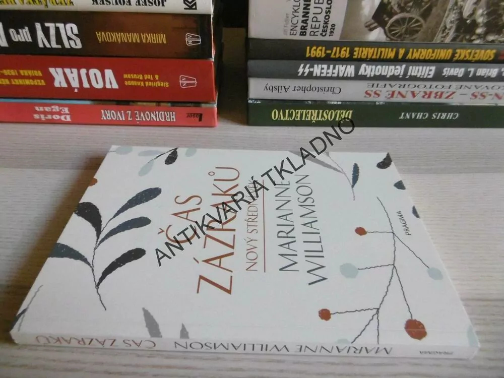 ČAS ZÁZRAKŮ, NOVÝ SDTŘEDNÍ VĚK, MARIANNE WILLIAMSON, **an
