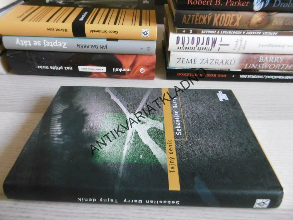 TAJNÝ DENÍK, SEBASTIAN BARRY, **an
