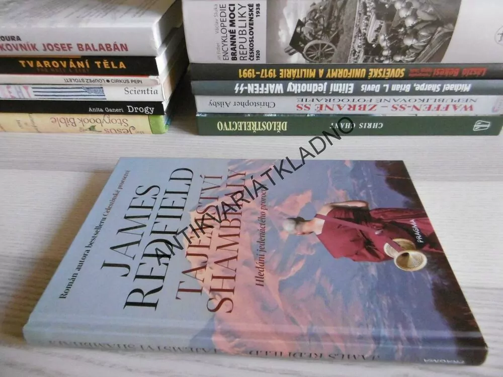 TAJEMSTVÍ SHAMBALY, HLEDÁNÍ JEDENÁCTÉHO PROROCTVÍ, JAMES REDFIELD, **an