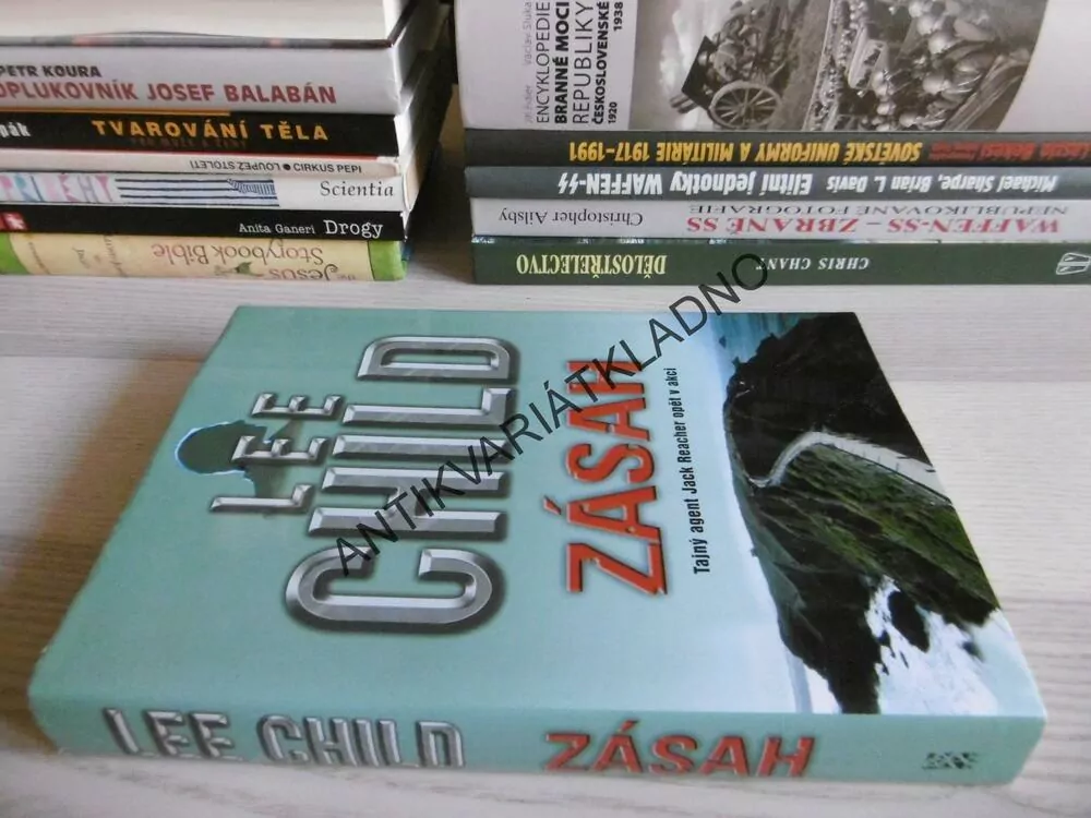 ZÁSAH, LEE CHILD, **an