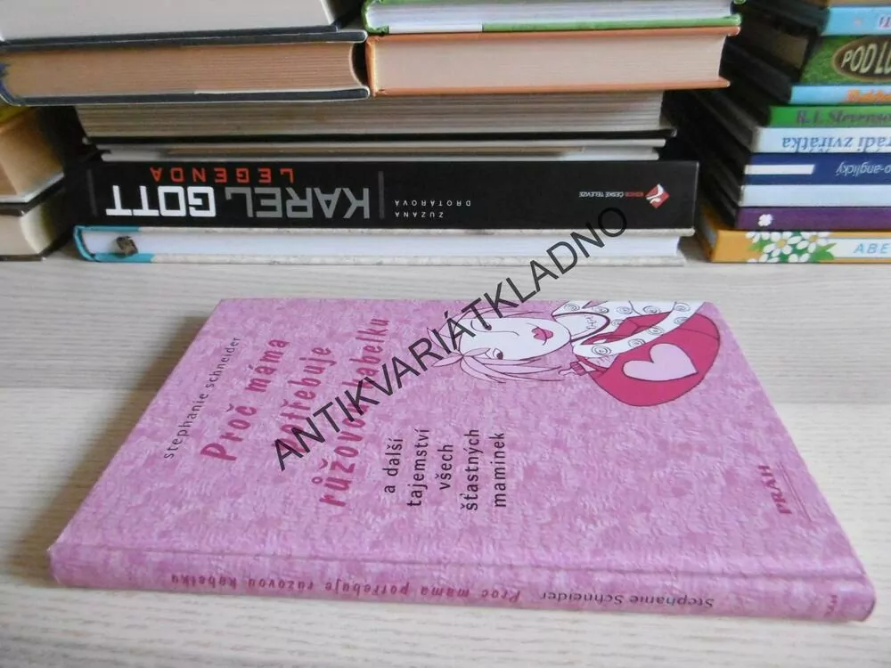 PROČ MÁMA POTŘEBUJE RŮŽOVOU KABELKU, STEPHANIE SCHNEIDER, **an