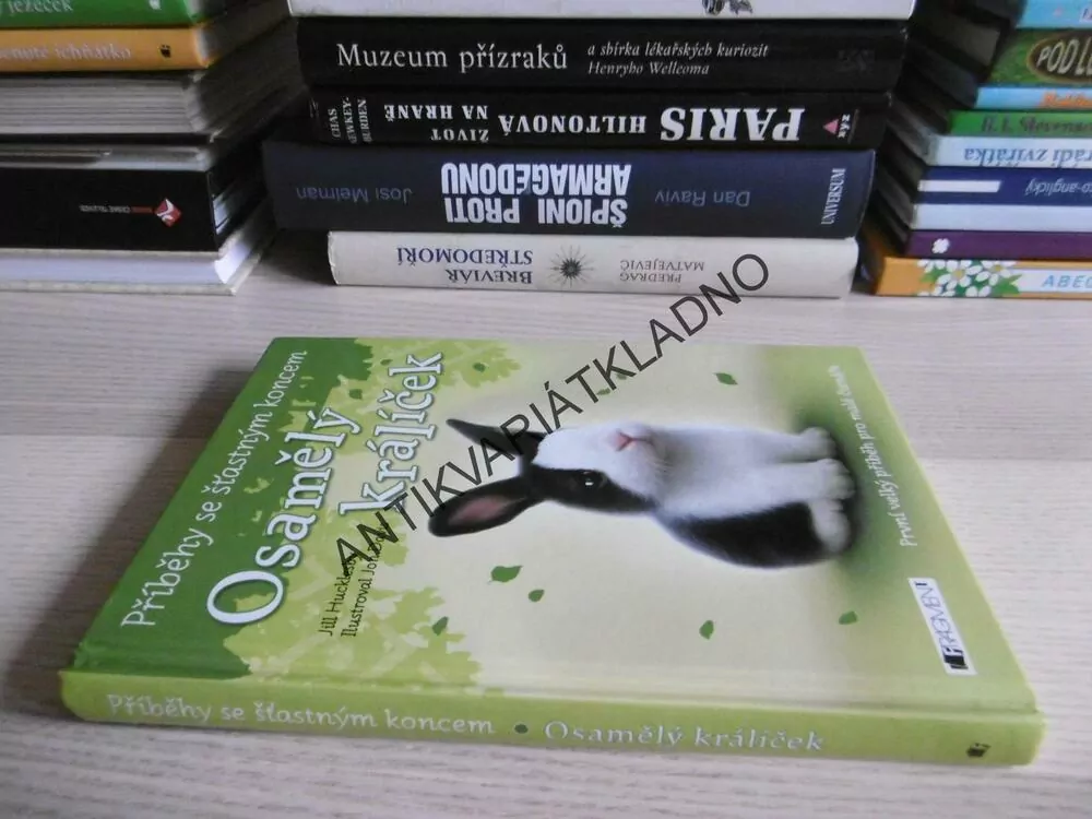 OSAMĚLÝ KRÁLÍČEK, JILL HUCKLESBY, PŘÍBĚHY SE ŠŤASTNÝM KONCEM, **an