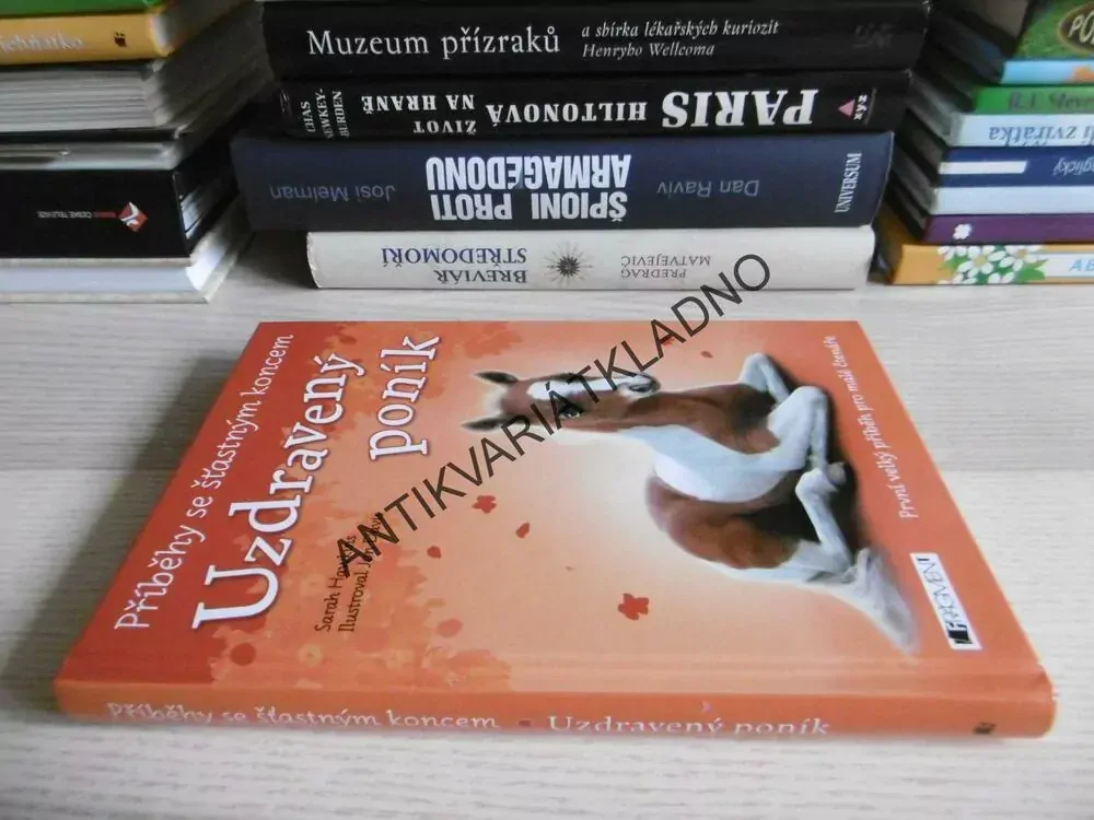 UZDRAVENÝ PONÍK, SARAH HAWKINS,, PŘÍBĚHY SE ŠŤASTNÝM KONCEM, **an
