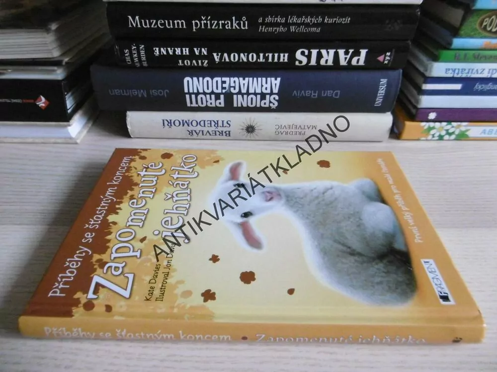 ZAPOMENUTÉ JEHŇÁTKO, KATE DAVIES, PŘÍBĚHY SE ŠŤASTNÝM KONCEM, **an