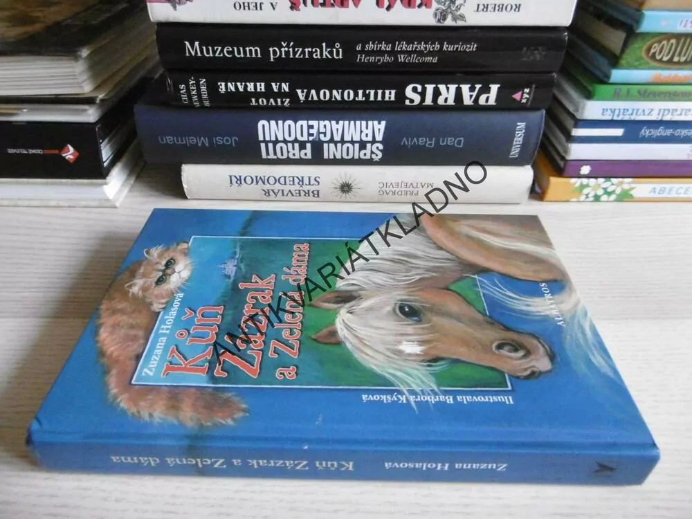KŮŇ ZÁZRAK A ZELENÁ DÁMA, ZUZANA HOLASOVÁ, BARBORA KYŠKOVÁ, **an