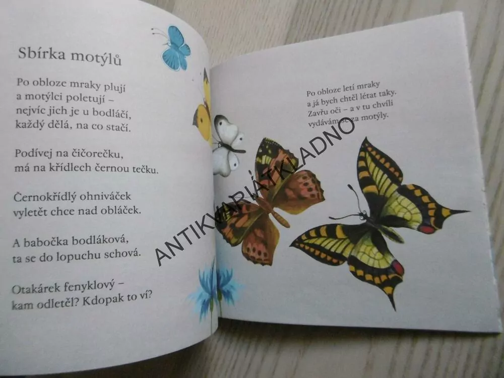 KDE SE NOSÍ KRKY, MIROSLAV TVRZ, ALENA SCHULZ, **an