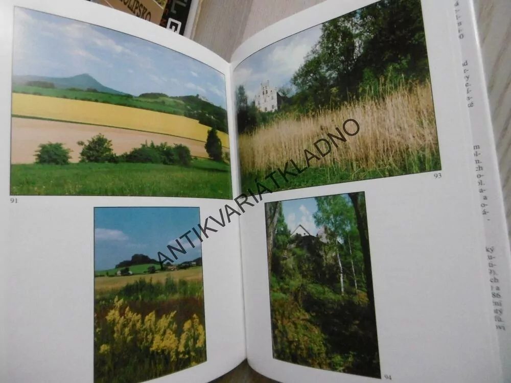 NALÉZÁNÍ ČESKOLIPSKA, LADISLAV MIMRA, VLADIMÍR RICHTRMOC, **an