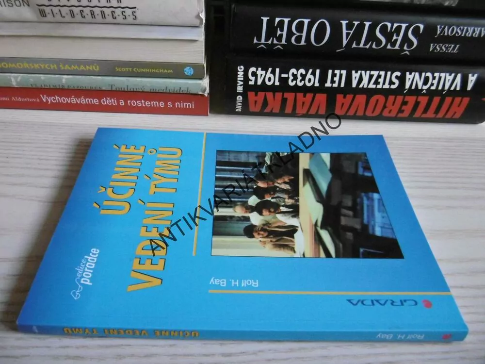 ÚČINNÉ VEDENÍ TÝMŮ, ROLF H. BAY, **an