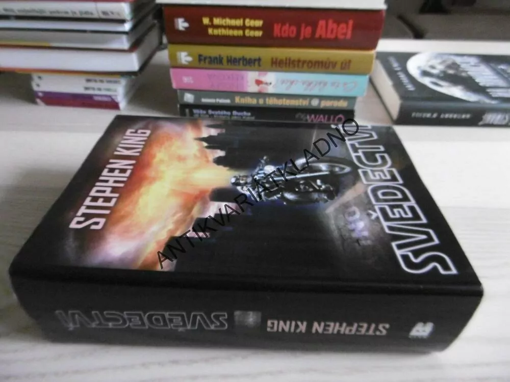 SVĚDECTVÍ, STEPHEN KING, **an