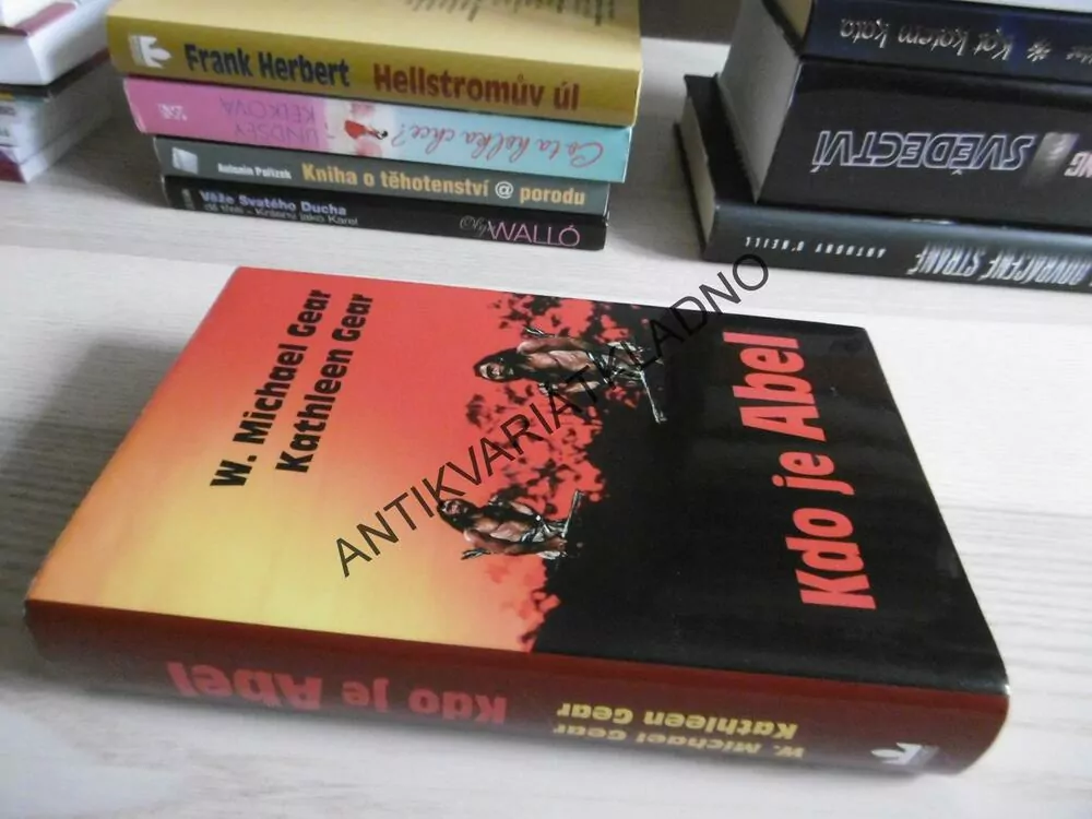 KDO JE ABEL, W.MICHAEL GEAR, **an