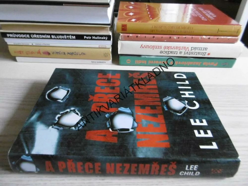 A PŘECE NEZEMŘEŠ, LEE CHILD, **an