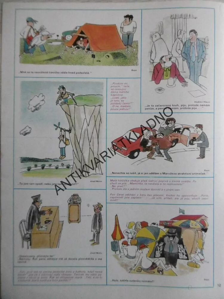 DIKOBRAZ 31/1978