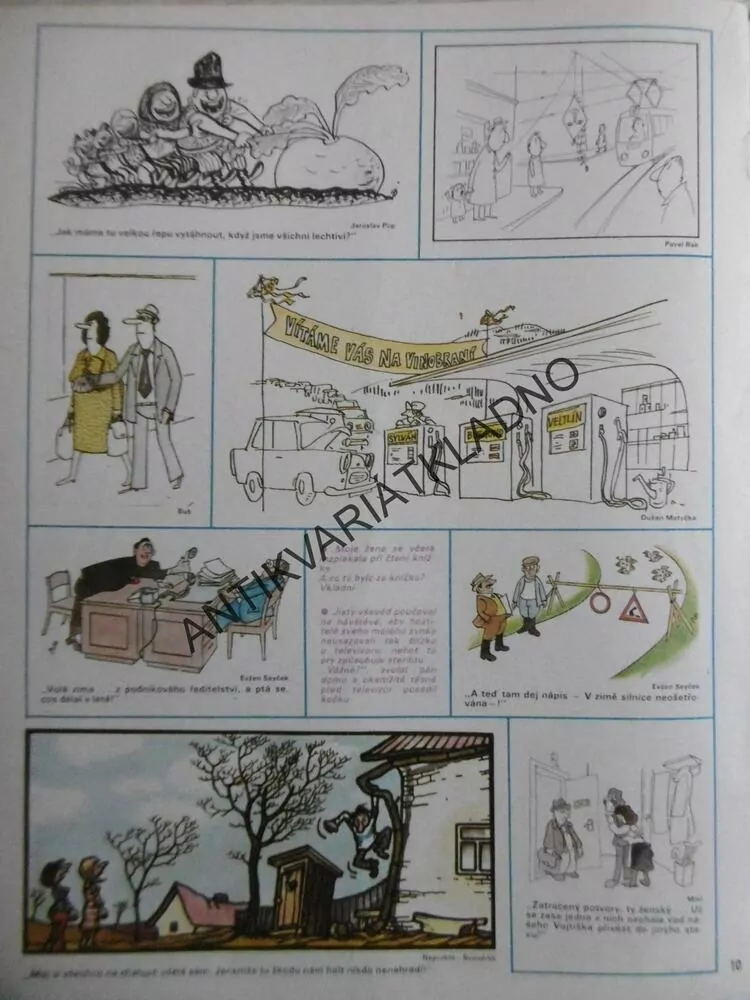 DIKOBRAZ 41/1978