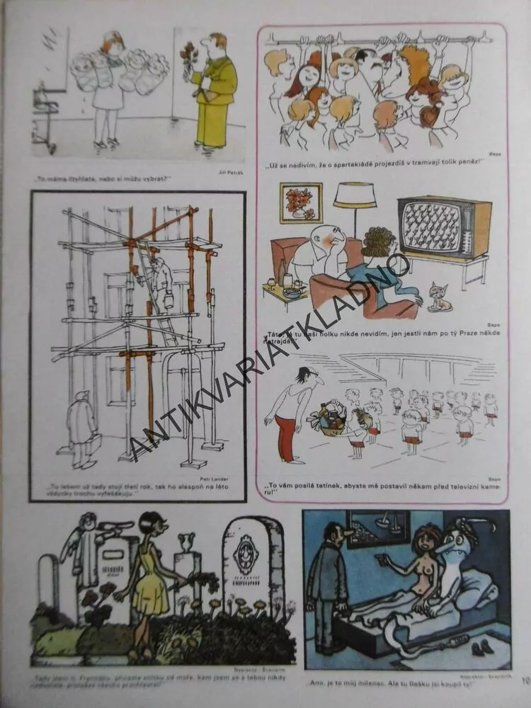 DIKOBRAZ 25/1980