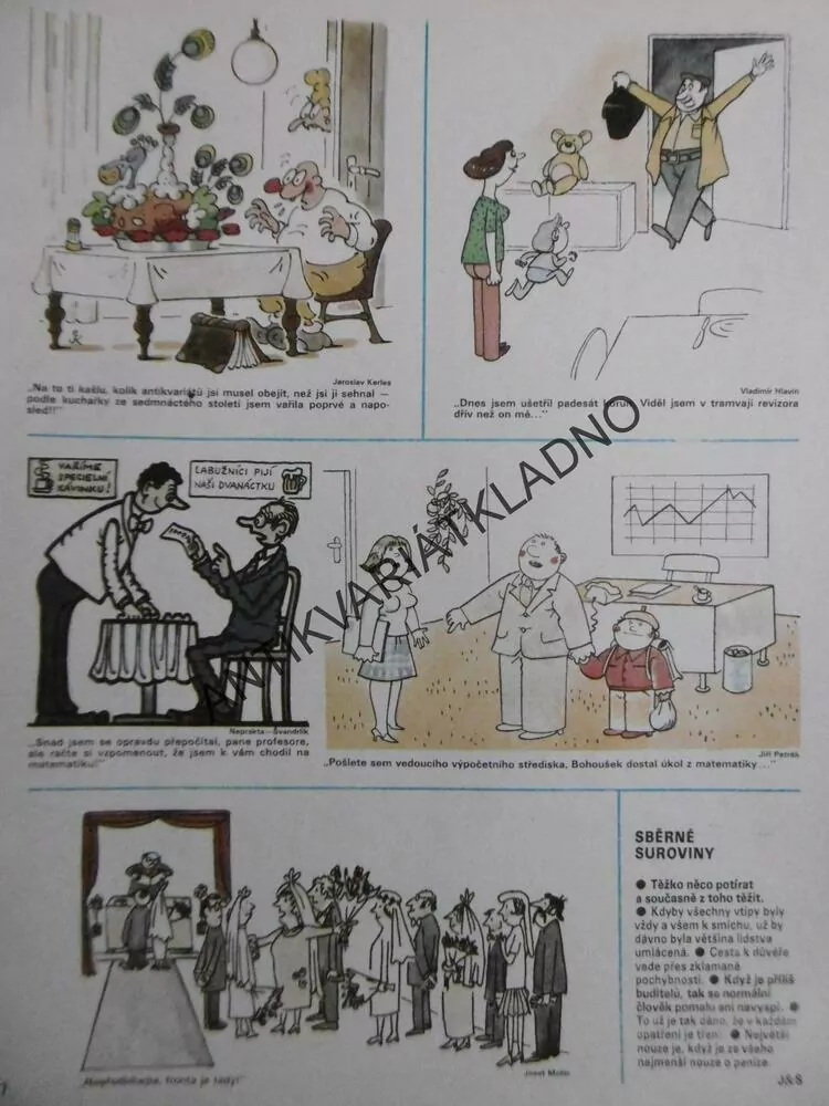 DIKOBRAZ 12/1982