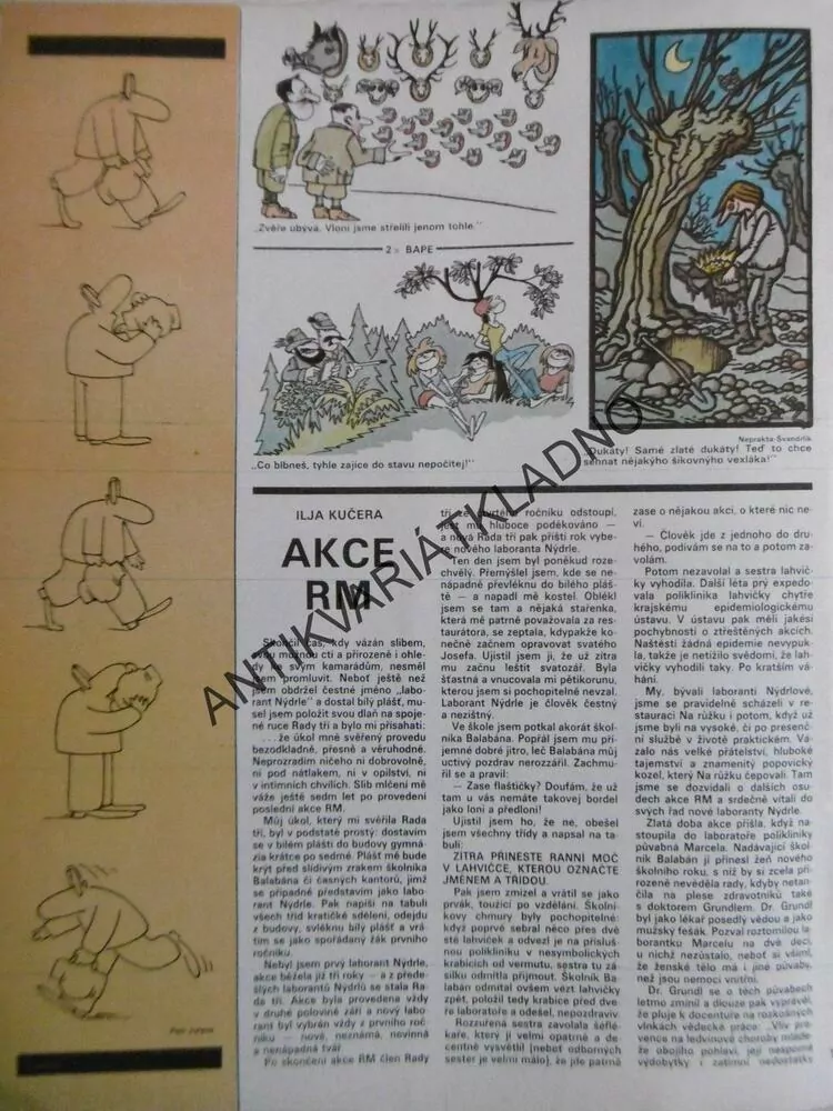 DIKOBRAZ 22/1984