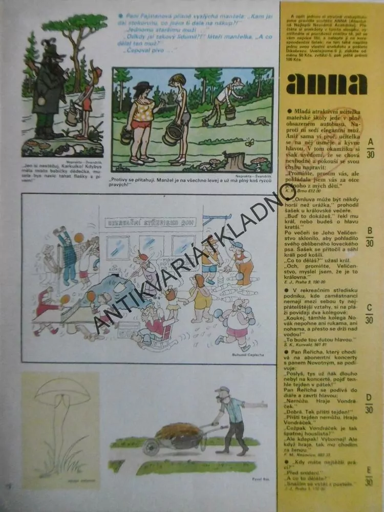 DIKOBRAZ 30/1984