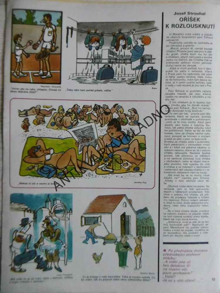 DIKOBRAZ 33/1984