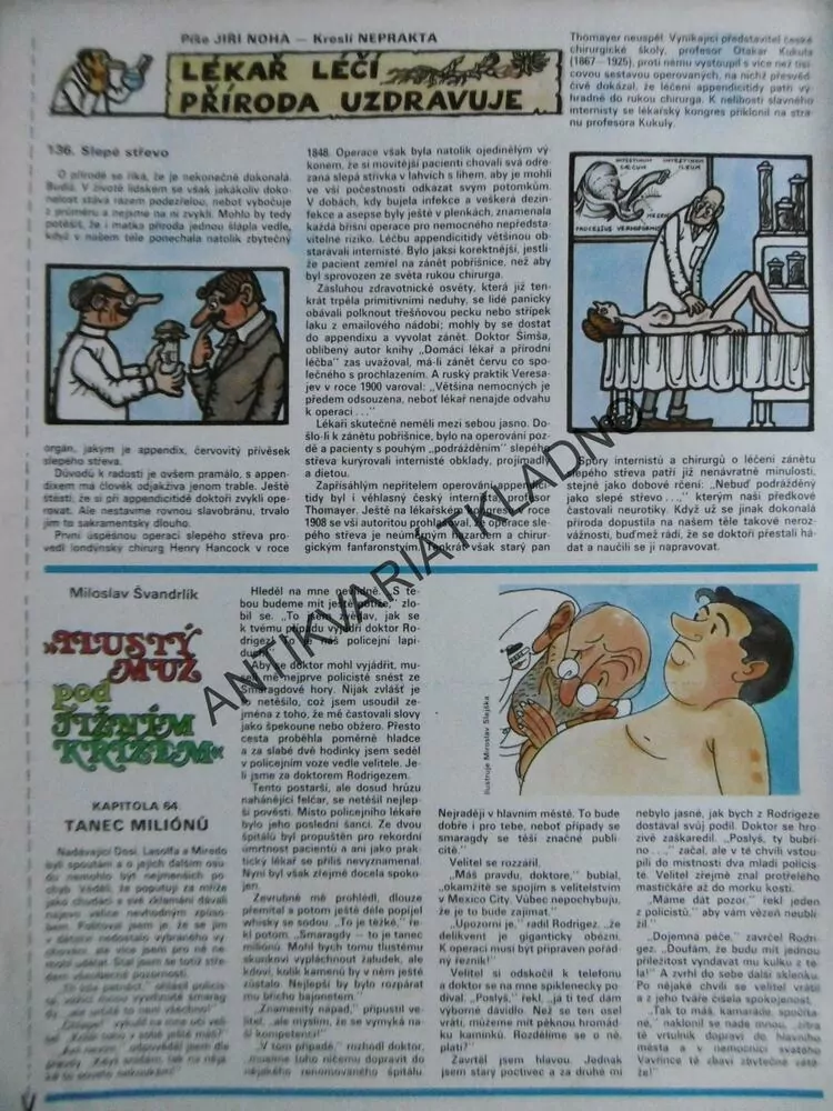 DIKOBRAZ 34/1984