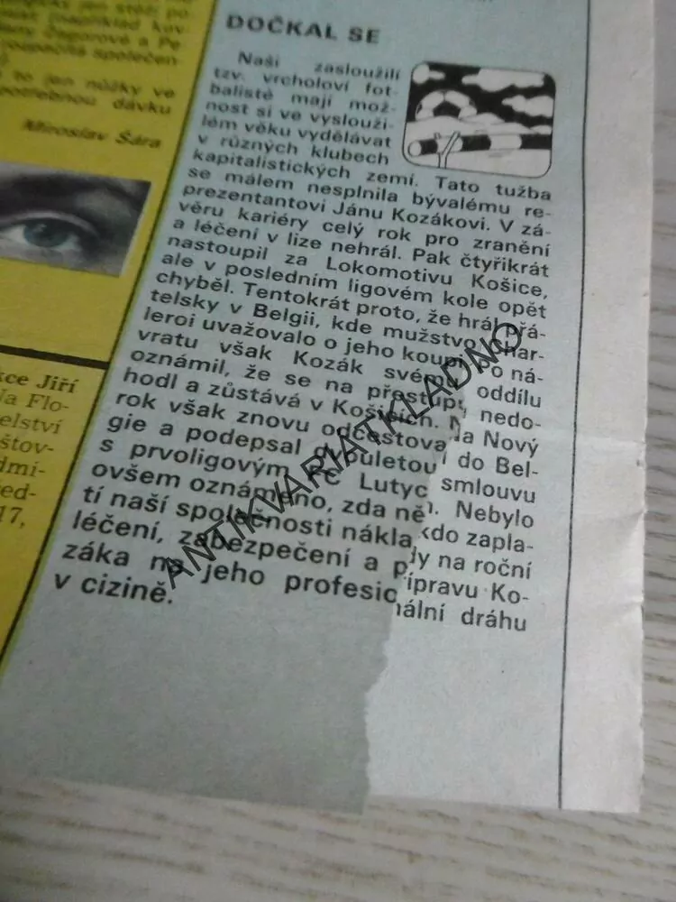 DIKOBRAZ 4/1986