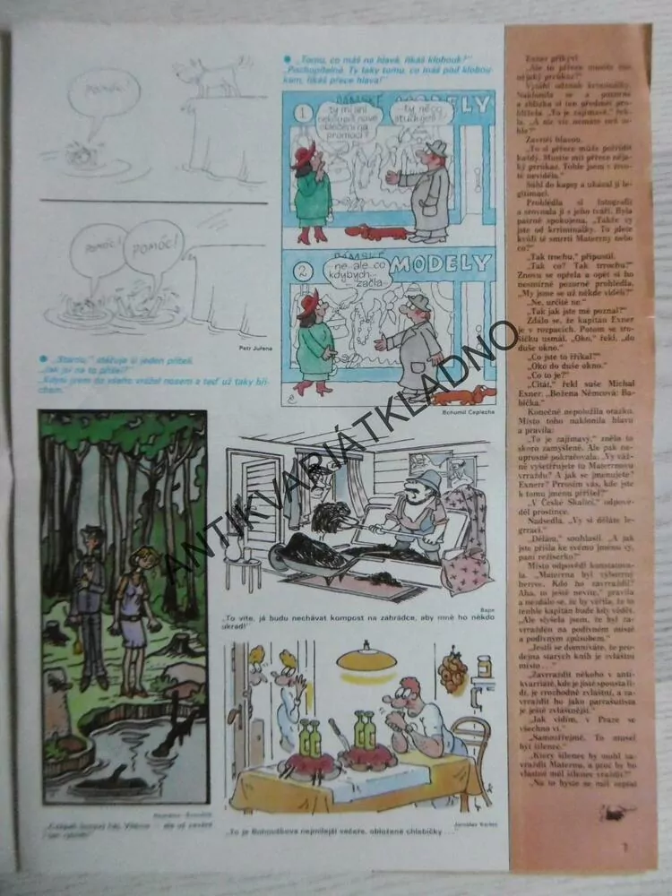 DIKOBRAZ 18/1986