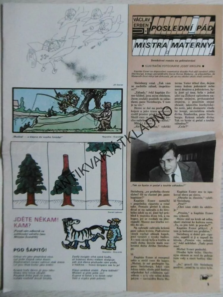 DIKOBRAZ 22/1986