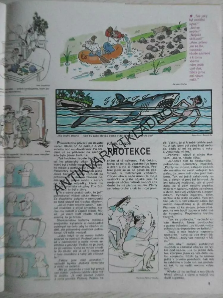 DIKOBRAZ 23/1986